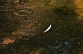 Carpe Diem_9